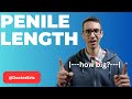 Increase penile length whats true and whats not  urologist explains