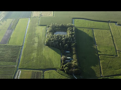 Video: Hoe Maak Je Een Eendenkooi?