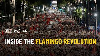 Inside the Flamingo Revolution – A report by Natalia Komarow