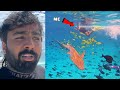 Shark ke sath swimming