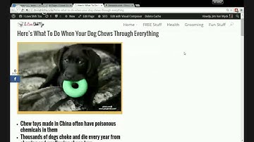 How To Use Visual Composer Templates