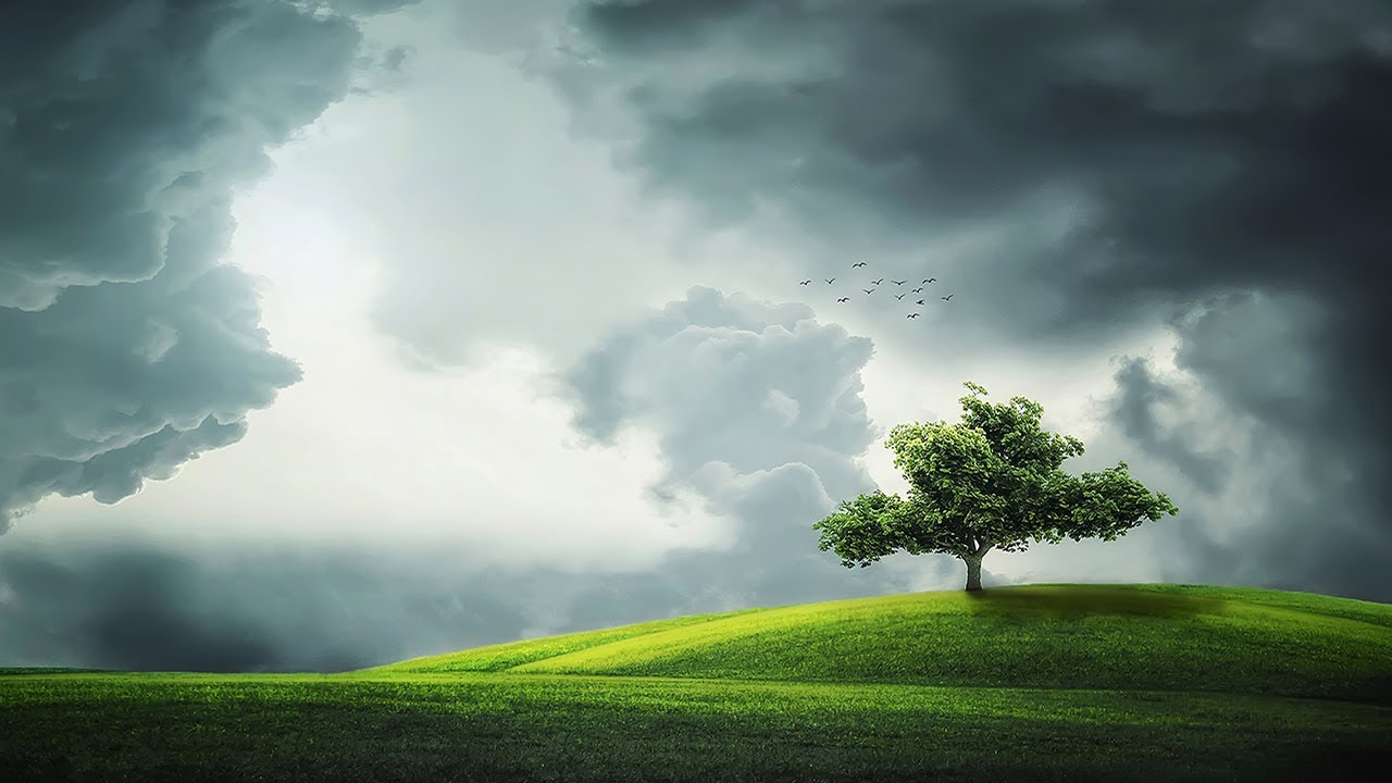 Watch Relaxing Spring Rain with Distant Thunder, Nature Sounds for Sleep, Studying, 1 Hour (N0 MUSIC) on YouTube Watch Relaxing Spring Rain with Distant Thunder, Nature Sounds for Sleep, Studying, 1 Hour (N0 MUSIC) on YouTube