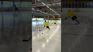 Intensive summer hockey camp Sweden Malmo 7/2023