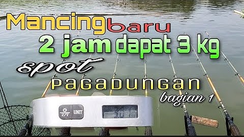 Mancing ikan nila || baru 2 jam dapat 3 kg || Mancing Jatiluhur|| spot pagadungan bagian 1