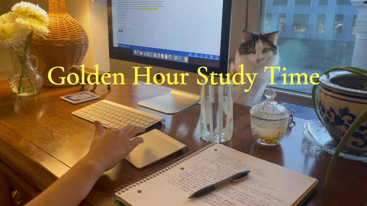 Golden Hour to Evening Study Session | Calm Academic Ambience
