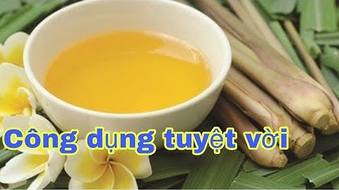CÂY SẢ(cỏ sả,sả chanh)- TÁC DỤNG VÀ CÁCH DÙNG VÔ CÙNG HIỆU QUẢ-Sức Khỏe Tâm An