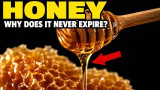 Why Honey Is the Only Food That Never Expires