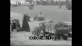1978г. колхоз Калининградец Багратионовский район Калининградская обл