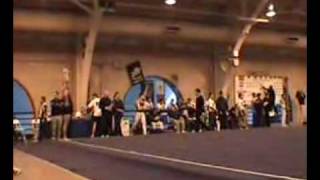 Famous ECAC gymnastics floor preliminaries Profile