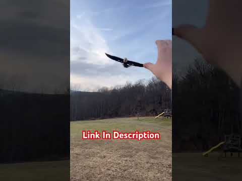 Fun on a