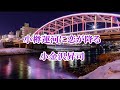 【新曲】小樽運河に恋が降る 小金沢昇司 cover