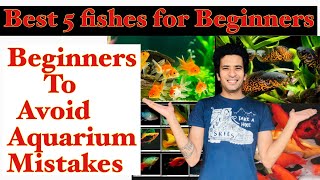 Best Fishes for Beginners | Top 5 best fishes for Aquarium | Beginners Aquarium Tips | Indian Aqua