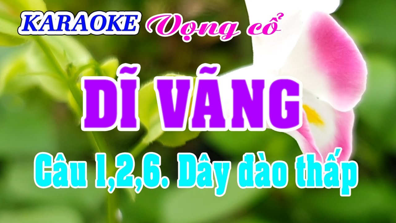 Karaoke _  Dĩ Vãng _  Dây Đào Thấp