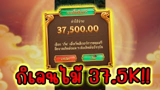 Ways of Qilin │ เส้นทางของกิเลน ➤ เบทพัน + ซื้อไม้ 37,500!! 😱