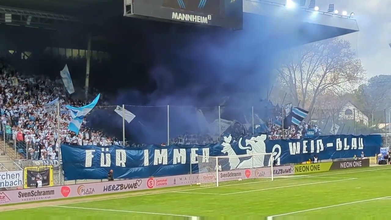 ⚽ Best of Saison 2024/25 | 🏟️ 3.Liga | 🦁TSV 1860 München #groundhopping