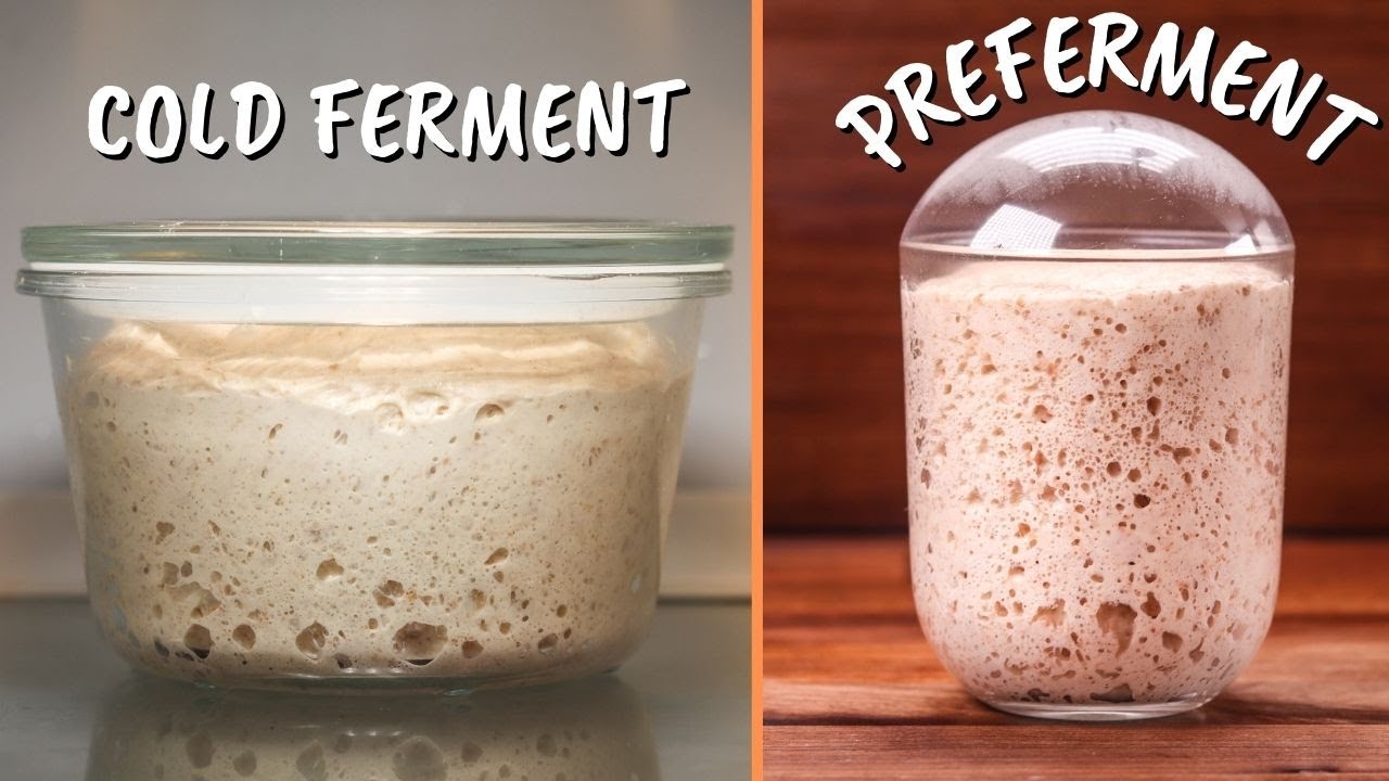 What is a fermentation starter and where can you use it?