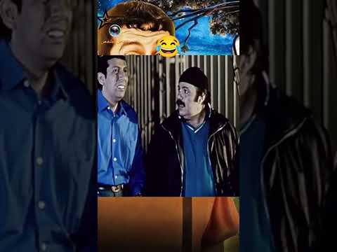 كلامك حكم يا سلطان افلام افلام عربية غبي منه فيه هاني رمزي طلعت زكريا