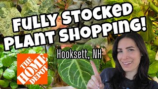 Y Stocked Home Depot Plant Shopping  Hooksett Nh