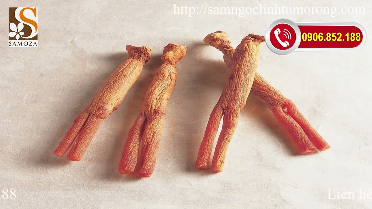 Tác dụng sâm tươi hàn quốc