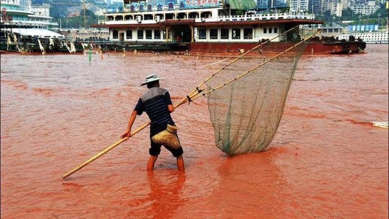 絶対に泳いではいけない世界の水域トップ10 Youtube