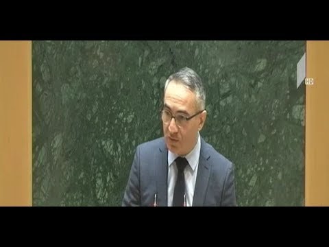 პარლამენტის დღევანდელ სხდომაზე მიხეილ ბატიაშვილსაც მოუსმენენ
