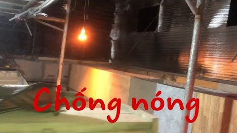 Dúi trung quốc | Dúi mốc đại | Cách chống nóng cho trại dúi vào mùa hè | Chuột Tre 360