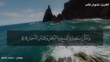 تلاوة هادئة للقارئ الشيخ: نشوان غالب سورة ص كاملة