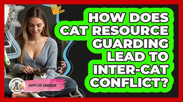 How Does Cat Resource Guarding Lead To Inter-cat Conflict? - Happy Cat Handbook