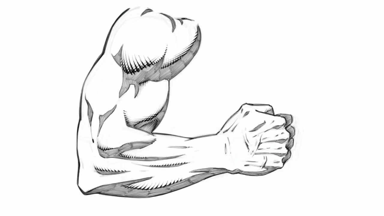 Best How To Draw A Arm of the decade Check it out now 