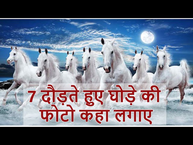 7 Horse Wallpaper Hd Download - Colaboratory