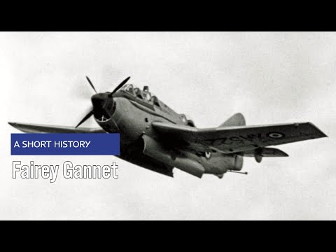 Video: Shepard Fairey xalis sərvəti: Wiki, Evli, Ailə, Toy, Maaş, Qardaşlar