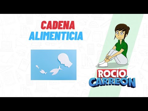 CADENA ALIMENTICIA - PRODUCTORES, CONSUMIDORES PRIMARIOS, SECUNDARIOS, TERCIARIOS Y DESCOMPONEDORES