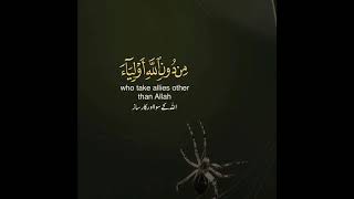 🕸️Surah Al Ankaboot Verse 41              🎙️ Muhammad Al Bakhit