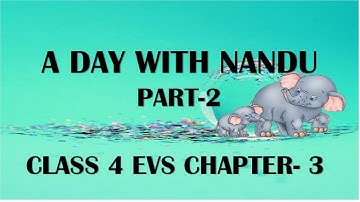 A DAY WITH NANDU -PART-2 |National Parks | CLASS 4 EVS | NCERT CBSE