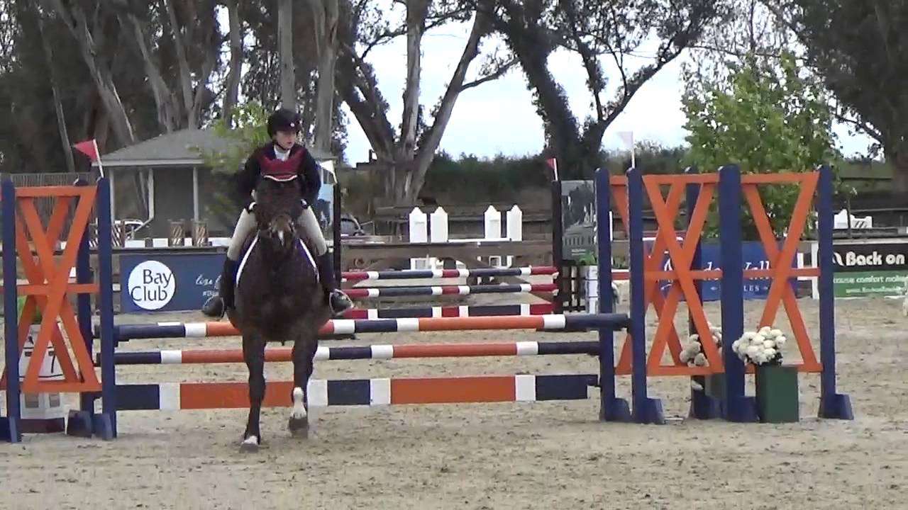 HMI Equestrian - Vintage