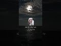ودي اشوفك