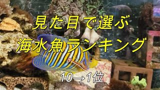 【エコに楽しもう海水魚97】飼育経験がある海水魚から見た目が綺麗な海水魚をランキング