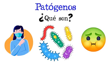 ¿Qué es un agente patógeno de categoría 2?