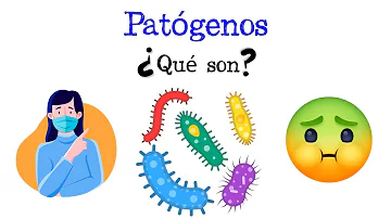 ¿Qué son los patógenos 12?