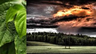 Amaro Porano Jaha Chai .Covers By Noble Saregamapa