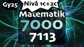 Matematik 7000 Nivå 1c+2c 7113 matte 2c gy25