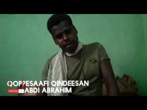 Haasawa Walisa Shamshadiin Abrahimi Waliin Godhame 2020