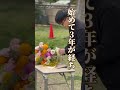 花屋の可能性を求めていきたい#shorts #花#花束 #花屋