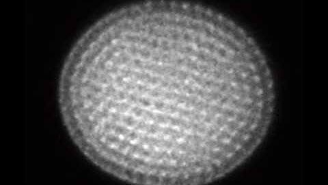 Coulomb crystal experiment