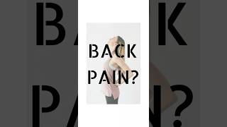The Back Pain Reset. #physiotherapist #exercise #lowerbackpain #lowbackpain #painrehab