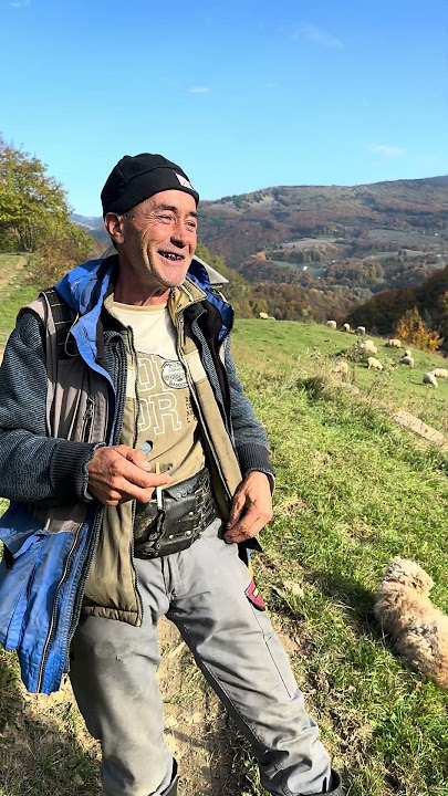 Have You Ever Heard of a Sheepfold Where Only Girls Milk?