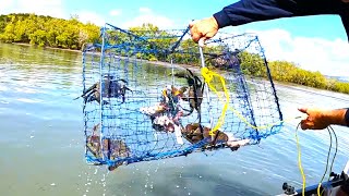 BIG MUD CRAB - Catch | SEAFOOD LUNCH | Easy Cook Up!