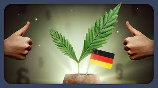 Die Legalisierung kommt! Und jetzt?