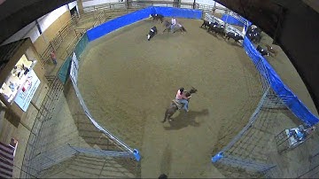 Big Sky Ranch Sorting Saddle Series #4 - #5 SORT - Round #1 - Ride #25