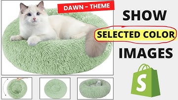 How to Display Only Selected Color images Product Page in Shopify [DAWN 15]